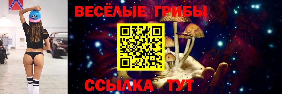 Псилоцибиновые грибы мицелий  купить наркотики сайты  Брянск  Вход с VPN 